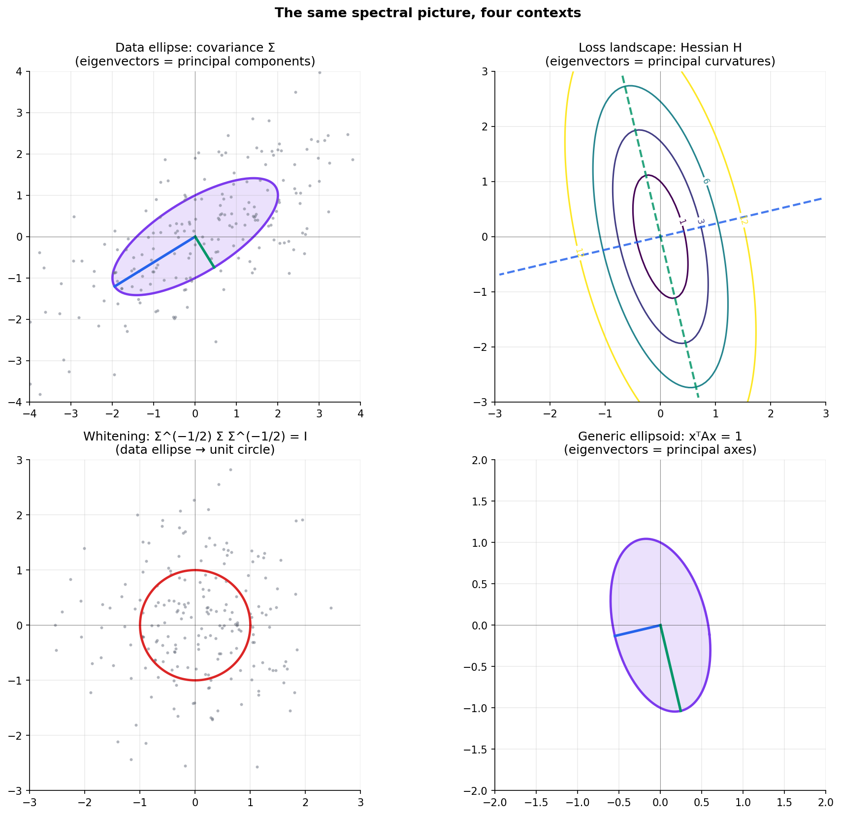 Four-panel figure: data ellipse for a covariance matrix, loss landscape with Hessian eigenvectors as principal axes, whitening transformation mapping ellipse to circle, generic ellipsoid of x'Ax = 1