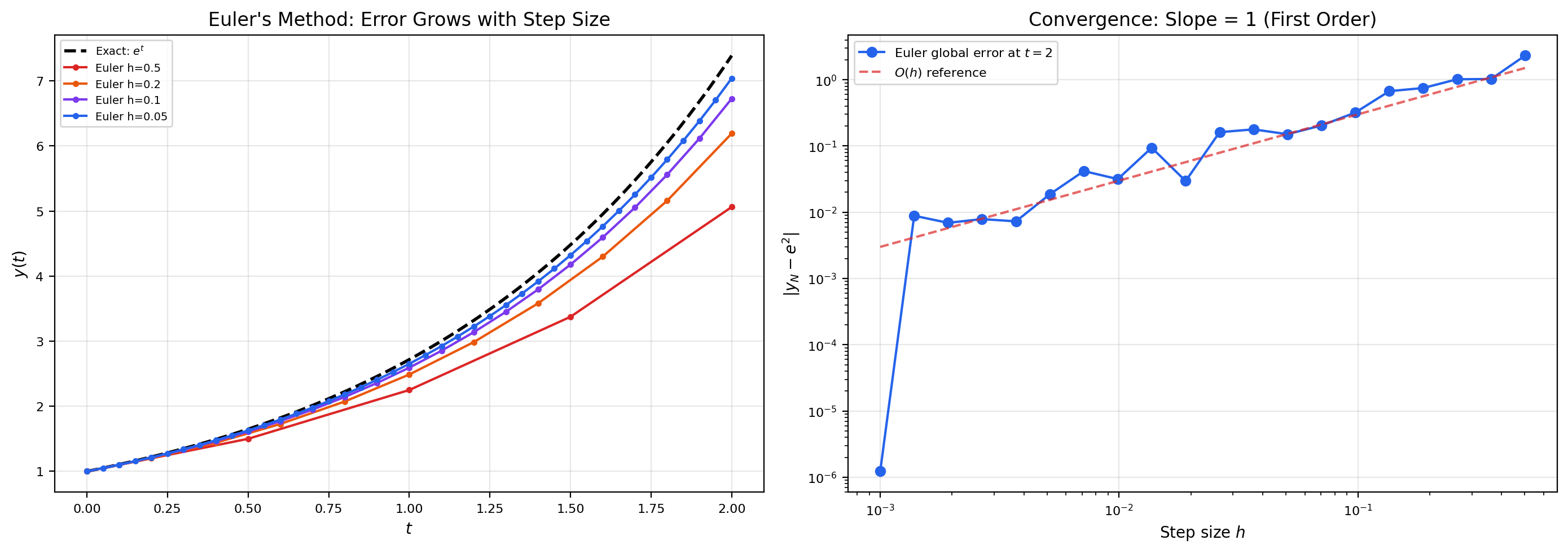 Euler's method on y' = y diverging from the exact solution; log-log error vs. step size showing slope 1 (first-order convergence)